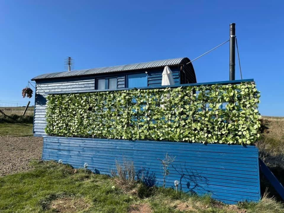 Croft B&B Accommodation With Hot Tub Gamrie Exterior foto